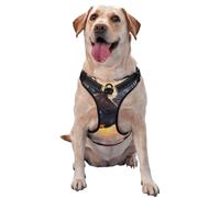 Arnés para perro con diseño de águila calva volando al atardecer, ajustable, reflectante, Oxford, fácil control, tamaño mediano y grande