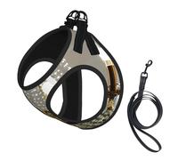 Arnés para perro con estampado de araña de salón de bolas, chaleco con correa para mascotas para perros pequeños a medianos, perfecto para aventuras al aire libre