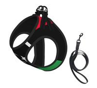 Arnés para perro con estampado de bandera de Libia, 2 hebillas, chaleco para perro, clip frontal para correa sin tirones, para perros pequeños y medianos