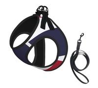 Arnés para perro con estampado de bandera de Tailandia, 2 hebillas, chaleco para perro, clip frontal para correa sin tirones, para perros pequeños y medianos