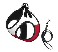 Arnés para perro con estampado de bandera de Texas, 2 hebillas, chaleco para perro, clip frontal para correa sin tirones, para perros pequeños y medianos