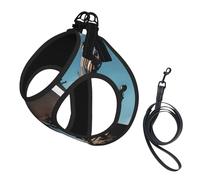 Arnés para perro con estampado de barco pirata, chaleco con correa para mascotas para perros pequeños a medianos, perfecto para aventuras al aire libre