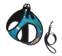 Arnés para perro con estampado de estrellas de mar y peces tropicales, tamaño pequeño y correa, chaleco suave y ligero para cachorros, arnés de malla transpirable para mascotas