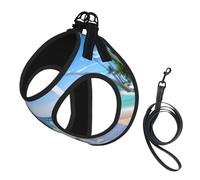 Arnés para perro con estampado de flores tropicales y piedras zen, 2 hebillas, chaleco para perro, clip frontal para correa sin tirones, para perros pequeños y medianos