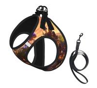 Arnés para perro con estampado de hongos mágicos, chaleco con correa para mascotas, chaleco ajustable y reflectante, para perros pequeños a medianos