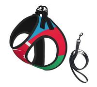 Arnés para perro con estampado de la bandera de Azerbaiyán, 2 hebillas, chaleco para perro, clip frontal para correa sin tirones, para perros pequeños y medianos