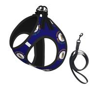 Arnés para perro con estampado de la bandera del estado de Kentucky, 2 hebillas, chaleco para perro, clip frontal para correa sin tirones, para perros pequeños y medianos