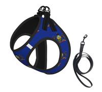 Arnés para perro con estampado de la bandera del estado de Pensilvania, 2 hebillas, chaleco para perro, clip frontal para correa sin tirones, para perros pequeños y medianos