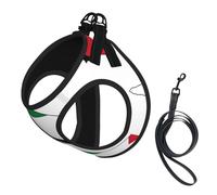 Arnés para perro con estampado de mapa de la bandera de Palestina, 2 hebillas, chaleco para perro, clip frontal para correa sin tirones, para perros pequeños y medianos