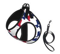 Arnés para perro con estampado de mapa de la bandera del estado de Texas, 2 hebillas, chaleco para perro, clip frontal para correa sin tirones, para perros pequeños y medianos