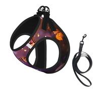 Arnés para perro con estampado de mariposas, color violeta y dorado, chaleco ajustable y reflectante, para perros pequeños a medianos