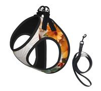 Arnés para perro con estampado de mariposas coloridas con estampado floral blanco, chaleco con correa para mascotas, chaleco ajustable y reflectante, para perros pequeños a medianos