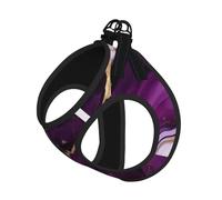 Arnés para perro con estampado de mármol con textura morada oscura, chaleco con correa para mascotas para perros pequeños a medianos, perfecto para aventuras al aire libre
