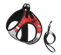 Arnés para perro con estampado de París, 2 hebillas, chaleco para perro, clip frontal para correa sin tirones, para perros pequeños y medianos