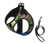 Arnés para perro con estampado de plumas de pavo real, chaleco con correa para mascotas para perros pequeños a medianos, perfecto para aventuras al aire libre
