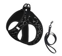 Arnés para perro con estampado de química y ciencia abstracta, 2 hebillas, chaleco para perro, clip frontal para correa sin tirones, para perros pequeños y medianos