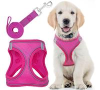 Arnés para perro + correa - Grande, rosa - Arnés para mascotas de diseño acolchado suave + antitirones + tiras reflectantes para perros pequeños y medianos - por EcoEarth