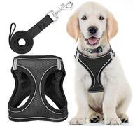 Arnés para Perro + Correa - Mediano, Negro - Arnés Acolchado Suave para Mascotas con diseño antipull + Tiras Reflectantes para Perros pequeños y medianos - de EcoEarth