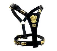 Arnés para perro de cuero Staffordshire Bullterrier Arnés con Staffordshire Bullterrier motivo principal y nudo (23 pulgadas adulto a niña de 71 cm, negro con silla dorada)