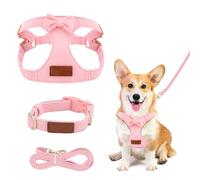 Arnés para perro de talla pequeña, arnés antifuga para perros con correa, ajustable arnés Bulldog francés Chihuahua, arnés para perros talla pequeña para pasear a correr (color rosa, XXS)