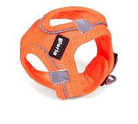 Arnés para Perro Gloria Air Mesh Trek Star Ajustable Naranja Talla XXXS (18-20 cm)