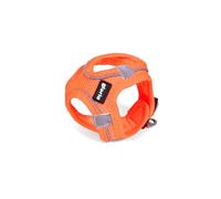 Arnés para Perro Gloria Trek Star 29,4-32,6 cm 41,4-43 cm Naranja S