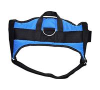 Arnés para Perro Hearts & Homies Azul Talla L