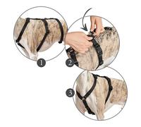 Arnés para Perro Hunter 38-52 cm Marrón Negro XS/S