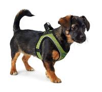 Arnés para Perro Hunter Hilo-Comfort Lima Talla XXS (26-30 cm)