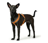 Arnés para Perro Hunter London Comfort 39-47 cm Naranja XS/S