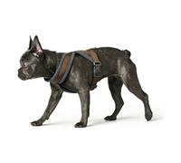 Arnés para Perro Hunter London Comfort 52-62 cm Marrón Talla S/M