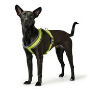Arnés para Perro Hunter London Comfort XS-S 39-47 cm Lima