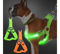 Arnés para perro luminoso, 2 arneses LED para perros recargables, 3 modos ajustables, arnés de luz reflectante para perros de paseo nocturno, adecuado para perros pequeños y medianos (naranja + verde