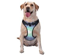 Arnés para perro mítico gigantesco de caverna espacial, equipado con correa reflectante para mascotas y hebillas de liberación rápida, adecuado para todo tipo de perros