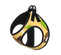 Arnés para perro pequeño con correa para mascotas, tamaño pequeño, estampado de ardilla y semillas de girasol, ajustable para gatos y perros, perfecto para caminar al aire libre