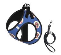 Arnés para perro pequeño con diseño de bandera del estado de Minnesota con correa, arneses para cachorros que no escapan Easy Walk para entrenar y caminar