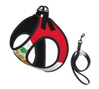 Arnés para perro pequeño con estampado de bandera de Perú, con correa, no Escape Easy Walk, arneses para cachorros para entrenamiento y caminata