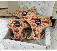 Arnés para Perro Pumpkin Patch L