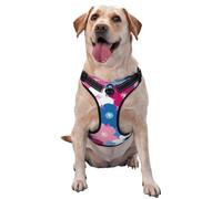 Arnés para perro retro con flores, color rosa, blanco y azul, sin tirones, ajustable, reflectante, Oxford, fácil control, arnés para perro mediano y grande