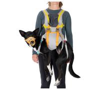 Arnés para perro Ruffwear BackTrak™ Dog Evacuation Kit Talla: M / Color: gris/naranja