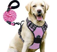 Arnés para perro - Sin marca - Talla M - Antitirones - Reflectante - Correa de 1,5 m