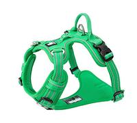 Arnés para perro sin tirones, ajustable, reflectante, de entrada por pasos, de nailon suave para mascotas pequeñas y grandes TLH56512(M, verde hierba)