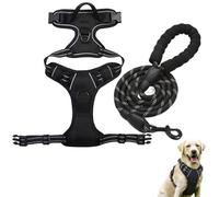 Arnés para perro sin tirones, correa fuerte y ajustable con mango acolchado cómodo e hilos altamente reflectantes para perros medianos y grandes para entrenamiento de caminar y actividades al aire