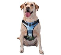 Arnés para perro The Forgotten Kingdom, equipado con correas reflectantes para mascotas y hebillas de liberación rápida, adecuado para todo tipo de perros