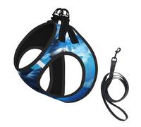 Arnés para perro The Killer Whale in The Sea, equipado con correas reflectantes y hebillas de liberación rápida, adecuado para gatos y perros pequeños