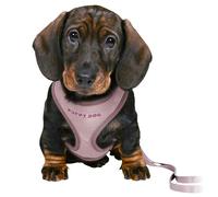 Arnés para Perro Trixie Junior Lila