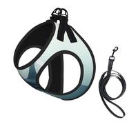 Arnés para perro Whales On The Sea Surface - Chaleco transpirable, reflectante y ajustable, adecuado para gatos y perros pequeños