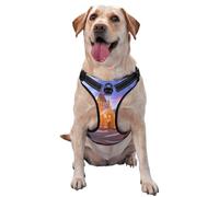 Arnés para perro Winter Under The Sunshine, equipado con correas reflectantes para mascotas y hebillas de liberación rápida, adecuado para todo tipo de perros