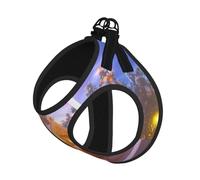 Arnés para perro Winter Under The Sunshine, equipado con correas reflectantes y hebillas de liberación rápida, adecuado para gatos y perros pequeños