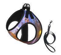 Arnés para perro Winter Under The Sunshine, equipado con correas reflectantes y hebillas de liberación rápida, adecuado para gatos y perros pequeños